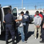 arrestados-varios-ICE