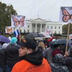 dabf4067fdd7724b94887ee607d12d2c_L