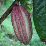 f3c758d382379b7ccadc0504398e7154_L