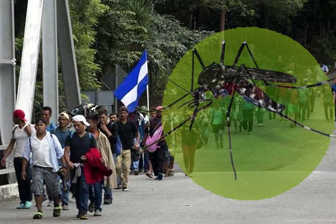 México teme que migrantes hondureños lleguen contagiados de dengue