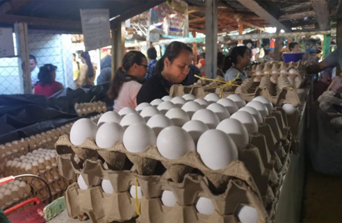 Huevos aumentan 10 lempiras en la Feria del Agricultor