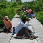 2e947707c649472c9e554410fc3db2fd