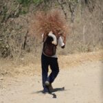 8480ad61-3ad3-47cd-91ef-fac40657dee6