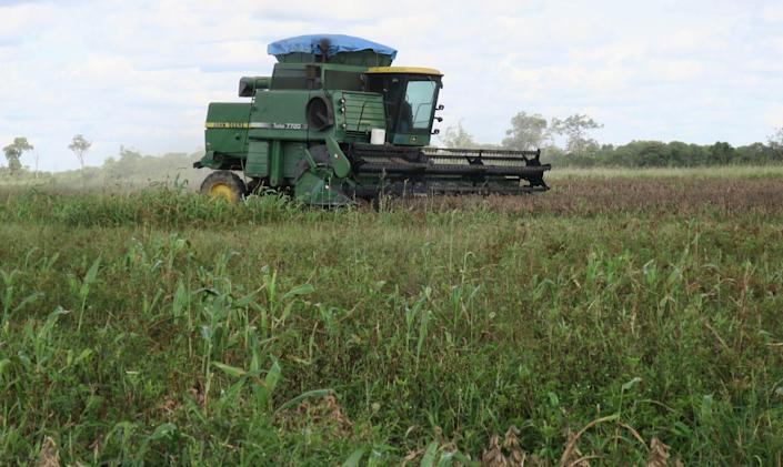 El IICA apoya la biotecnología para impulsar la agricultura en América