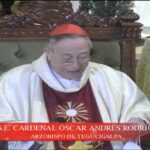 Cardenal-oarm