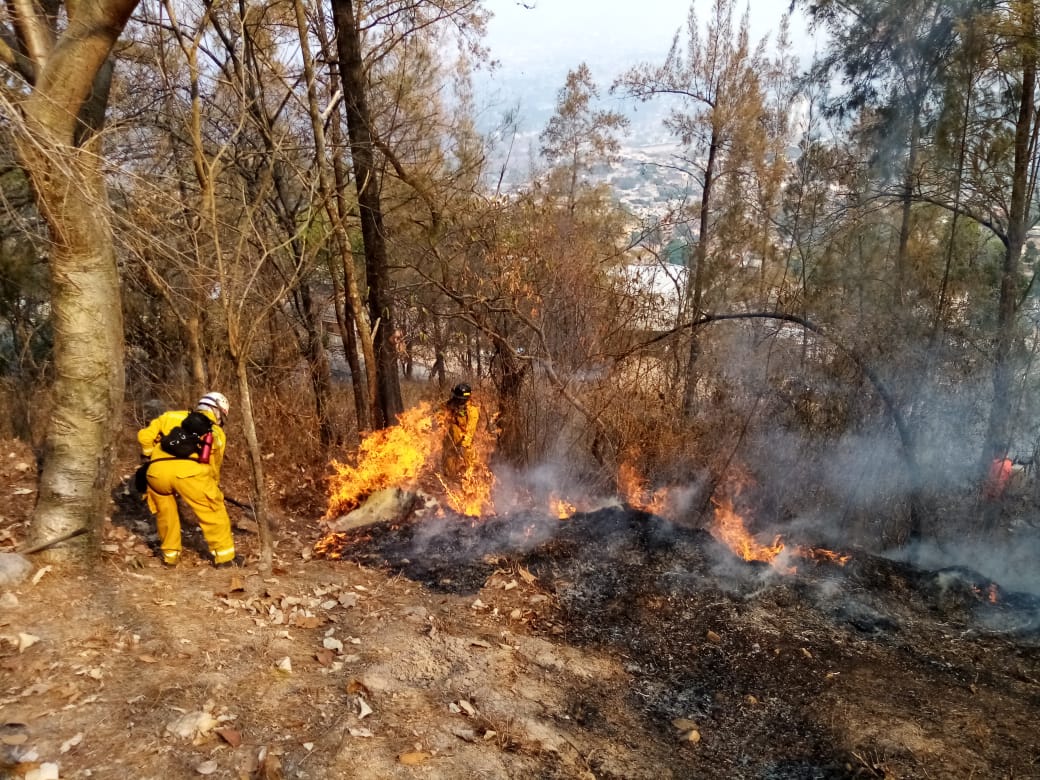 Unas seis mil personas combaten incendios forestales activos en Honduras