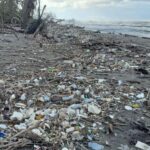 Omoa-se-sumerge-en-el-plaCC81stico2