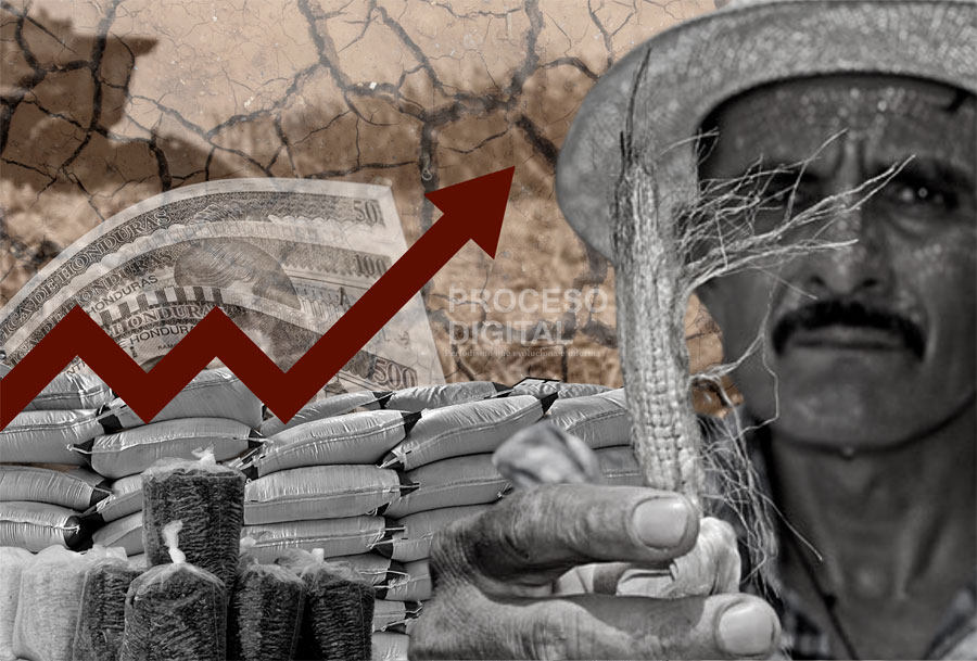 Productores aturdidos frente a crisis alimentaria