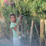 d3336155-0b99-41d8-a8ac-055dd28e84dc