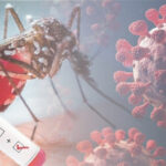 dengue-y-covid