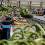 e104271e74c17349d401299b6f69b021