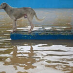 perro-inundaciones