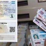 tarjeta-de-identidad-2-768×430-1-1