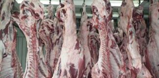 Libra de carne de res aumenta hasta 10 lempiras en algunos mercados de Honduras