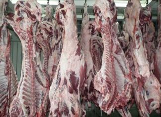 Libra de carne de res aumenta hasta 10 lempiras en algunos mercados de Honduras