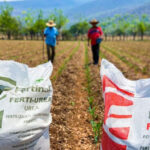 Fertilizantes-honduras