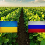 fertilizantes-rusia