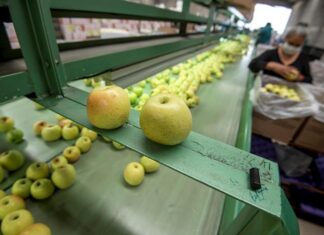 La FAO teme un empeoramiento de la crisis agroalimentaria en 2023