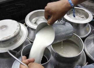 Gobierno hondureño asegura que existe sobreproducción de leche y precio se mantiene fijo
