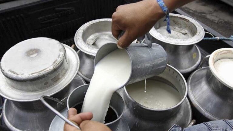 Productores de leche piden congelar precios de costos de producción