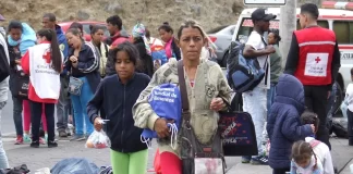 Retornan a Venezuela 264 migrantes desde Perú con el Plan Vuelta a la Patria