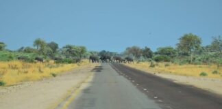 Un 44 % de la Tierra debe ser conservada para preservar la biodiversidad
