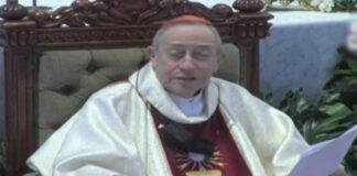 Cardenal Rodríguez aboga por más empleo para evitar que la gente se duerma con hambre