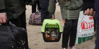 Alemania ha recibido 800 mil ucranianos, de los cuales 200 mil buscan empleo