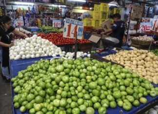 IICA reclama una alianza continental por la seguridad alimentaria en América