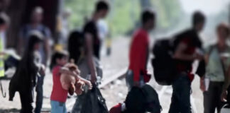 Infancia migrante, resultado de la violencia en América Latina, dice cineasta