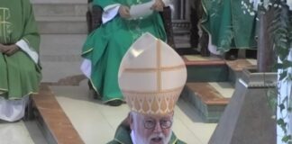 Coordinar inteligentemente los dones para dirigirlos con eficacia a la evangelización, insta Monseñor Gallagher