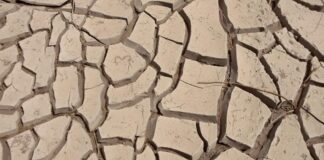 La megasequía por el cambio climático y la deforestación se agudizarán en América Latina