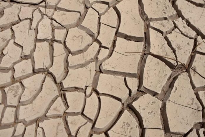 Sequía desierto
