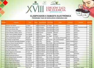 Finca La Salsa alcanza 91.25 % en Taza de Excelencia de Café Honduras 2022