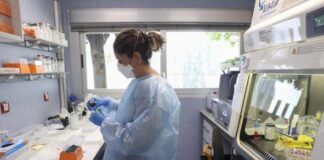 Un estudio detecta diferentes síntomas en la viruela del mono