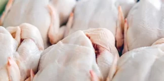 Libra de carne de pollo registra aumento de un lempira