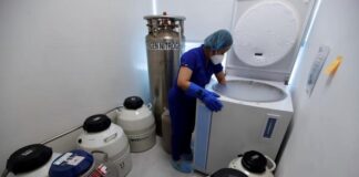 Descubren una proteína que podría mejorar los tratamientos de fertilidad