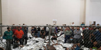 EEUU detiene casi 2.5 millones de migrantes en el periodo fiscal 2022