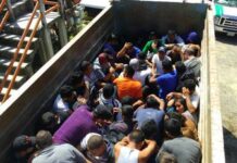 Desmantelan en EEUU una red que transportaba a migrantes en maletas