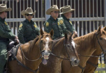 Mayoría de alguaciles en EEUU son trumpistas y quieren reforzar la frontera