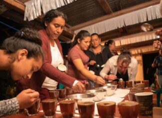 Mujeres emprendedoras abren camino en Latinoamérica con negocios exitosos