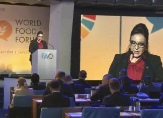 Latinoamérica aboga por acabar el hambre con reformas y cambios a corto plazo