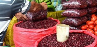 Aumenta en 500 lempiras el precio del quintal de frijol en bodegas de Honduras