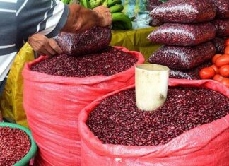 Aumenta en 500 lempiras el precio del quintal de frijol en bodegas de Honduras