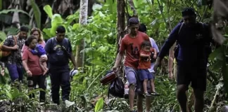 Condenan a 3 panameños por violación y robo a migrantes irregulares en Darién