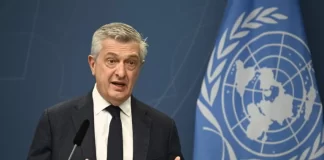 Alto Comisionado de la ONU elogia aprobación de ley para proteger a desplazados internos en Honduras