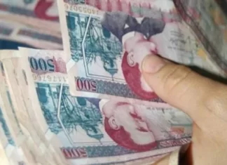 Presupuesto no es elaborado como herramienta de desarrollo, según economista