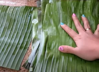 Cinco lempiras por rollo aumentan las hojas para los nacatamales