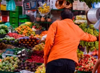 Los países ricos deben asumir impacto de la sostenibilidad en los alimentos:FAO