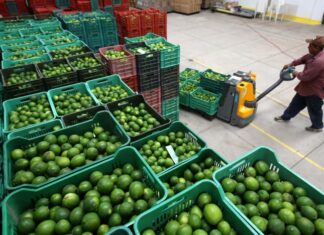 Latinoamérica y el Caribe crecerán un 1,4 % en 2023, según cálculos de la ONU